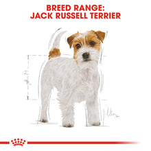 Load image into Gallery viewer, Royal Canin Dry Dog Food Specifically For Adult Jack Russell Terrier 3kg