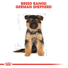 Load image into Gallery viewer, Royal Canin Dry Dog Food Specifically For Puppy German Shepherd - All Sizes