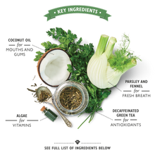 Load image into Gallery viewer, Lily's Kitchen Woofbrush Dog Dental Treat - All Sizes