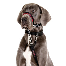 Load image into Gallery viewer, Halti Optifit Dog Headcollar