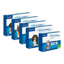 Load image into Gallery viewer, Virbac Effipro Spot On For Cats & Dogs 4 Pack