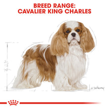 Load image into Gallery viewer, Royal Canin Dry Dog Food Specifically For Adult Cavalier King Charles 7.5kg