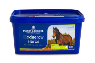Load image into Gallery viewer, Dodson And Horrell Supplements For Horses- Various