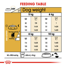 Load image into Gallery viewer, Royal Canin Dry Dog Food Specifically For Adult Jack Russell Terrier 3kg