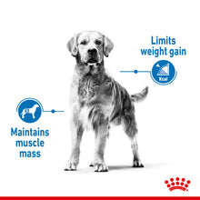 Load image into Gallery viewer, Royal Canin Dry Dog Food For Medium Light Care Adult Dogs - All Sizes