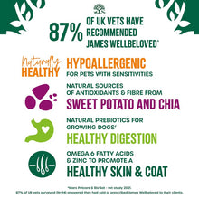 Load image into Gallery viewer, James Wellbeloved Lamb Sweet Potato & Chai Adult Dog Superfood 1.5kg