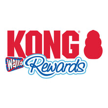 Load image into Gallery viewer, KONG Rewards Wally Medium/Large