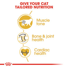 Load image into Gallery viewer, Royal Canin British Shorthair Adult Dry Cat Food For Cats