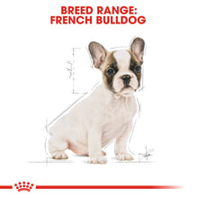 Load image into Gallery viewer, Royal Canin Dry Dog Food Specifically For Puppy French Bulldog - All Sizes