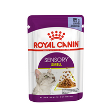 Load image into Gallery viewer, Royal Canin Wet Cat Food Pouches Sensory Designed Food 12 x 85g