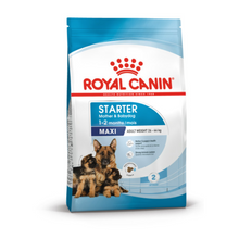 Load image into Gallery viewer, Royal Canin Dry Dog Food For Maxi Starter Mother & Babydog - All Sizes