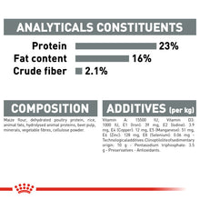 Load image into Gallery viewer, Royal Canin Dry Dog Food For Dental Care In Mini Dogs 8kg