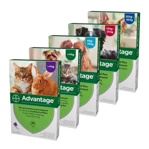 Advantage Spot On Flea Treatment For Cats, Dogs & Rabbits - 4 Pipette Packs