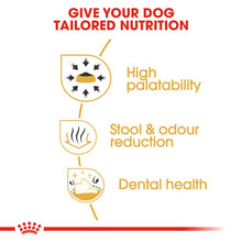 Load image into Gallery viewer, Royal Canin Dry Dog Food Specifically For Adult Chihuahua - All Sizes