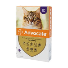Load image into Gallery viewer, Advocate Spot On For Cats - 80 (Imidaclopid/Moxidectin) For Cats & Kittens Over 4kg