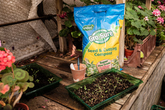 Load image into Gallery viewer, Westland Gro-Sure Seed & Cutting Compost Bale 20L