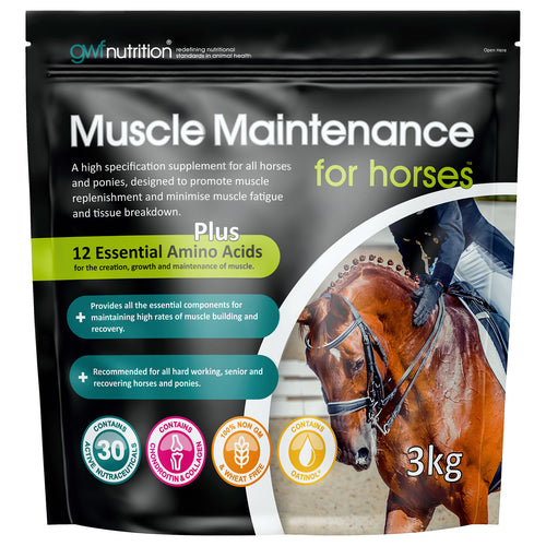 GWF Nutrition Muscle Maintenance Supplement Support For Horses 3kg