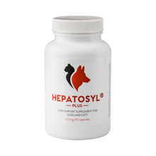 Load image into Gallery viewer, Hepatosyl Plus Capsules For Cats & Dogs