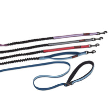 Load image into Gallery viewer, Company Of Animals Halti Active Dog Lead