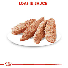 Load image into Gallery viewer, Royal Canin Wet Dog Food For Digestive Care In Adult Dogs 12x85g