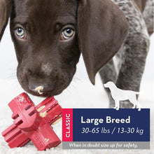 Load image into Gallery viewer, KONG Jump'N Jack