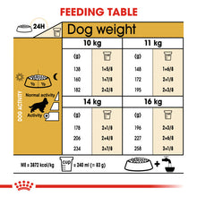 Load image into Gallery viewer, Royal Canin Dry Dog Food Specifically For Adult Cocker - All Sizes