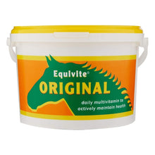 Load image into Gallery viewer, Equivite Original Multi-Vitamin Horse Supplement