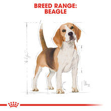 Load image into Gallery viewer, Royal Canin Dry Dog Food Specifically For Adult Beagle - All Sizes