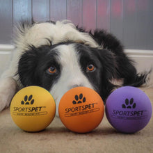 Load image into Gallery viewer, Sportspet High Bounce Dog Play Ball Fetch 3 Pack