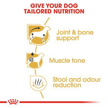 Load image into Gallery viewer, Royal Canin Dry Dog Food Specifically For Adult Dachshund - All Sizes