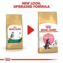 Load image into Gallery viewer, Royal Canin Maine Coon Kitten Dry Food For Cats
