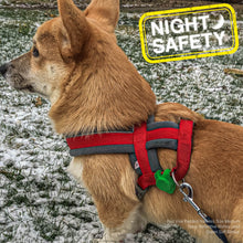 Load image into Gallery viewer, Ancol Soft Blinker