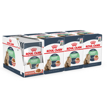 Load image into Gallery viewer, Royal Canin Wet Cat Food Digestive Care In Gravy Pouch 48 x 85 g