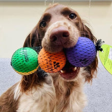 Load image into Gallery viewer, Sportspet High Bounce Dog Play Ball Fetch 3 Pack