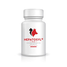 Load image into Gallery viewer, Hepatosyl Plus Capsules For Cats & Dogs