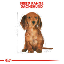 Load image into Gallery viewer, Royal Canin Dry Dog Food Specifically For Puppy Dachshund 1.5kg