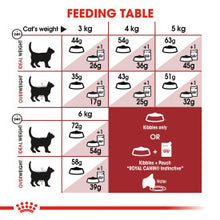 Load image into Gallery viewer, Royal Canin Regular Fit 32 Adult Dry Cat Food For Cats