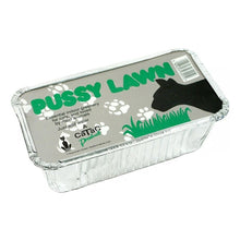 Load image into Gallery viewer, Pussy Lawn Natural Indoor Grass