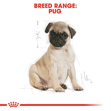 Load image into Gallery viewer, Royal Canin Dry Dog Food Specifically For Puppy Pug 1.5kg