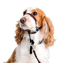 Load image into Gallery viewer, Halti Optifit Dog Headcollar
