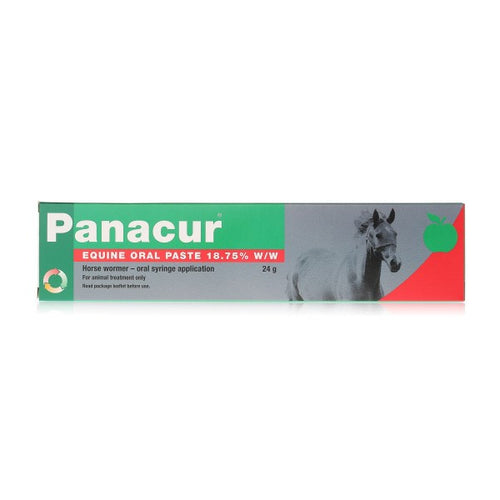 Panacur Equine Wormer Paste Apple And Cinnamon - 1 Syringe 24g