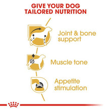 Load image into Gallery viewer, Royal Canin Wet Dog Food Specifically For Adult Dachshund 12x85g