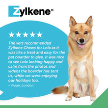 Load image into Gallery viewer, Zylkene Calming Chews for Dogs