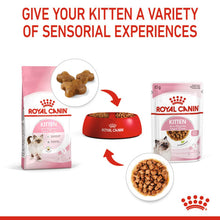 Load image into Gallery viewer, Royal Canin Wet Cat Food Kitten Instinctive Pouch In Gravy 12 x 85g