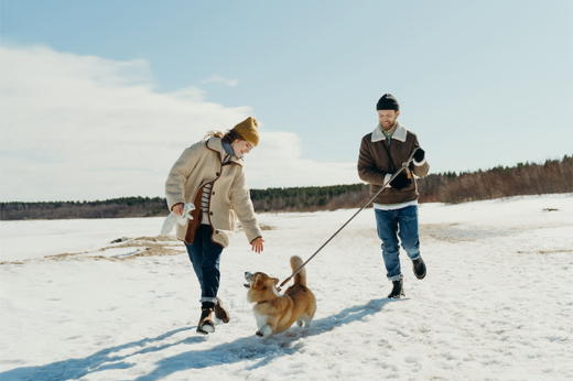 National Walk Your Dog Month: Why Every Step Matters for You and Your Pup