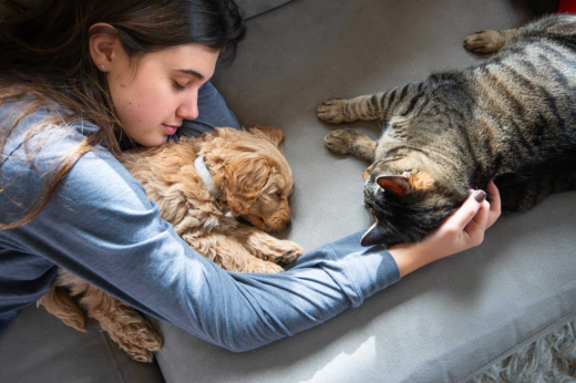 Responsible Animal Guardian Month: What It Means to Be a Better Pet Parent