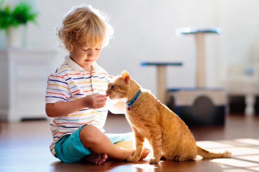 Summer Holiday Survival Guide for Pet Owners