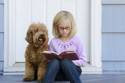 Going Back to Routine: How to Help Your Dog or Cat Adjust After Summer