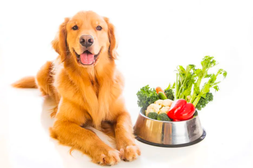 The Vital Role of Pet Nutrition: Nurturing Health and Happiness