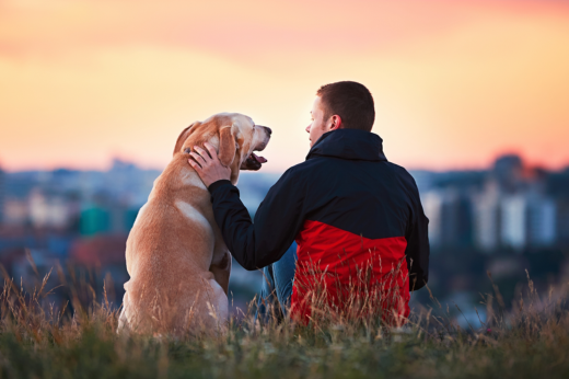 Embracing Responsible Pet Ownership: A Guide for Pet Lovers